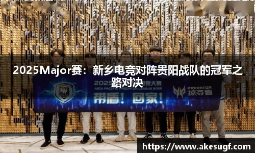 2025Major赛：新乡电竞对阵贵阳战队的冠军之路对决
